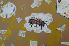 Mezinárodní den včel - projektová výuka - 4. a 5. ročník